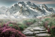 Dota2联赛现场首次设置“战队历史墙” CN老队徽与旧阵容照片引老粉落泪